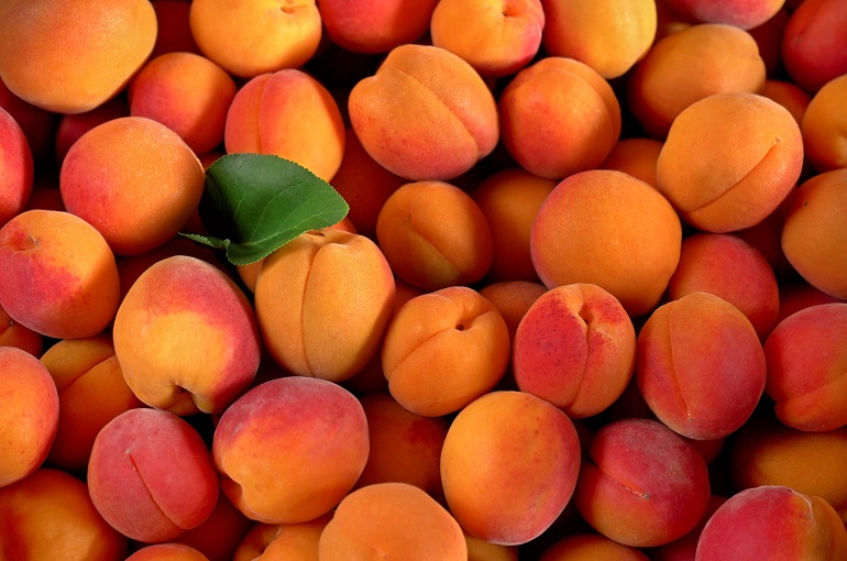 Valori nutritivi, benefici per la salute, usi e aspetti interessanti dell'albicocca